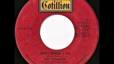 The Dynamics - What would I do
