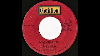 The Dynamics - What would I do