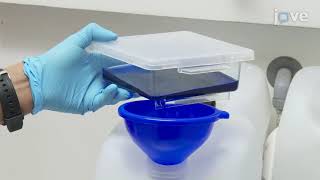 Sample Preparation for Mass spectrometry based Proteomics Analysis of Ocular Microvessels