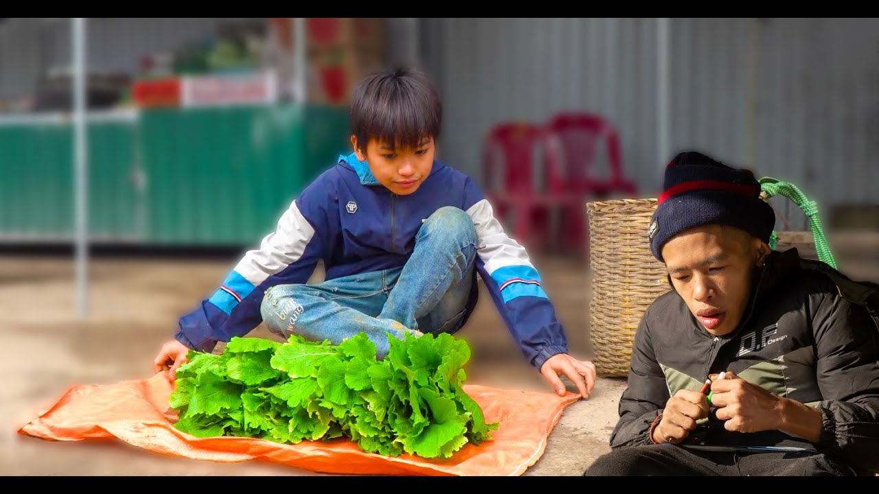 Two Orphan Brothers. Harvest tomatoes and vegetables goes to market. socks for my disabled brother