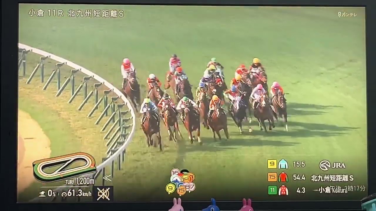 北九州 短 距離 ステークス