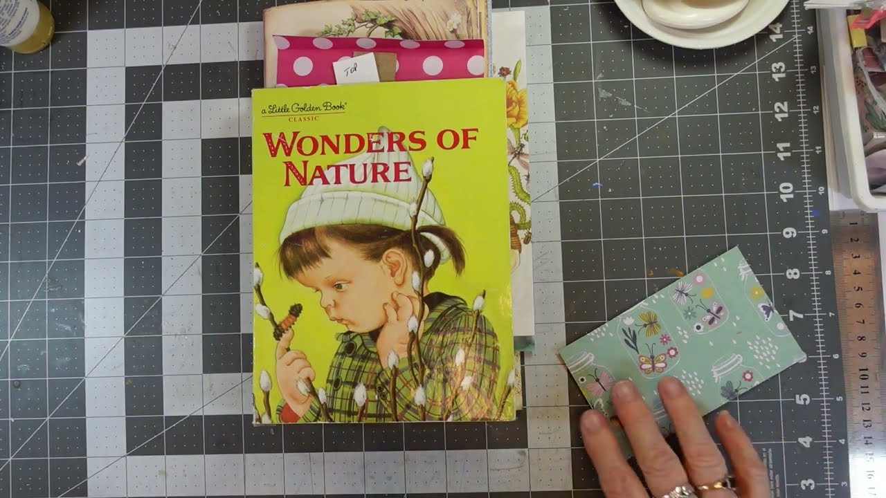 Little Golden Book—Wonders of Nature Part 2