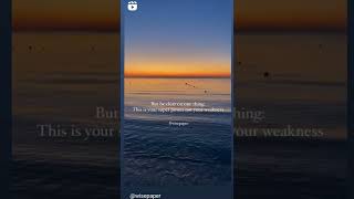 People With Soft Heart And Pure Soul Feel Everything Deeply