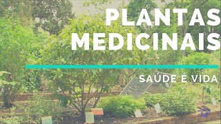Plantas Medicinais: a cura pela natureza | Saúde é Vida screenshot 2