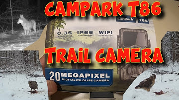 CAMPARK TRAIL CAMERA T86 TRAIL CAMERA REVIEW   DAY AND NIGHT VIDEO