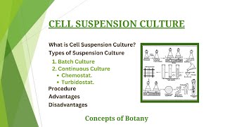 Cell Suspension Culture |Batch \& Continuous Culture| Protocol, Importance| Plant Tissue Culture