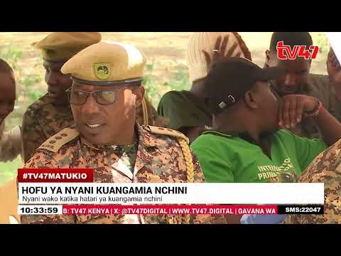 Nyani Wako Hatarini Kuangamia Wanasayansi Waomba Kulindwa Kwa Sababu Ni Muhimu Kwa Mazingira 