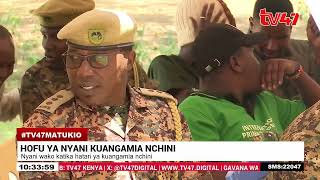 Nyani Wako Hatarini Kuangamia Wanasayansi Waomba Kulindwa Kwa Sababu Ni Muhimu Kwa Mazingira