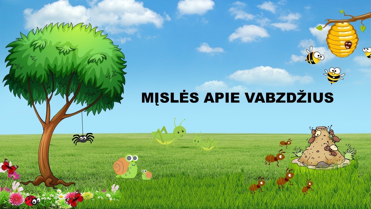 Mįslės apie vabzdžius ir jų draugę sraigę | Viktorina