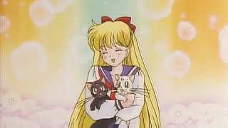 Codename: Sailor V  Route Venus