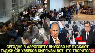 СЕГОДНЯ АЭРОПОРТ🆘️ ВНУКОВО😱НЕ ПУСКАЮТ ТАДЖИКОВ УЗБЕКОВ КЫРГЫЗОВ ВОТ ЧТО ТВОРИТСЯ🇹🇯🇰🇬🇺🇿💥