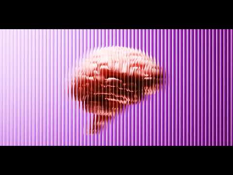 Розподіл Жиру Пов’язано зі Здоров’ям Мозок: Нове Дослідження Розкриває Несподівані Ризики