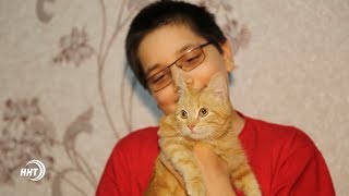 Отношение к кошкам. Что говорится об этом в Исламе? Отношение к кошкам. Что говорится об этом в Исламе?