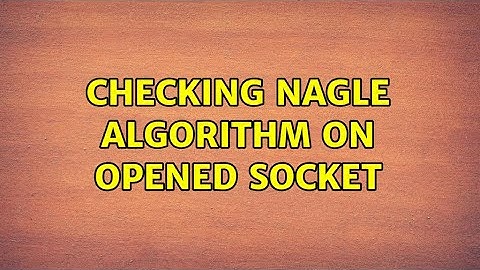 Checking Nagle Algorithm on opened socket