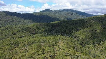 Ứng dụng công nghệ vào công tác quản lý, bảo vệ rừng