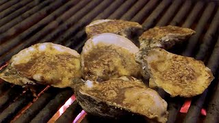 Chargrilled Oysters at Hammerhead Fred's