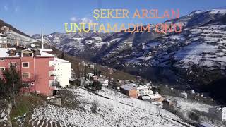 ŞEKER ARSLAN / UNUTURMUYUM ONU  AKBULUT KASETÇİLİK / AKÇAABAT Resimi