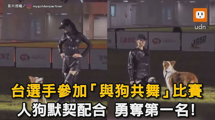 台選手比「與狗共舞」 人狗默契配合奪第一｜舞蹈｜狗｜默契｜比賽｜DSD