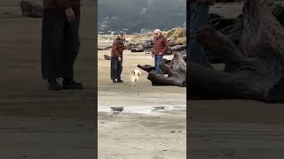 My Dog Makes Friends with EVERY Stranger 😂🐶 (So Friendly!)