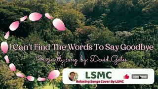 I Can't Find The Words To Say Goodbye - David Gates (Cover by LSMC)