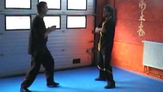 WingTsun WTAA Wing-Tsung Application -3-