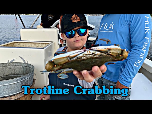 CHESAPEAKE BAY TROTLINE CRABBING (Catch & Cook) 