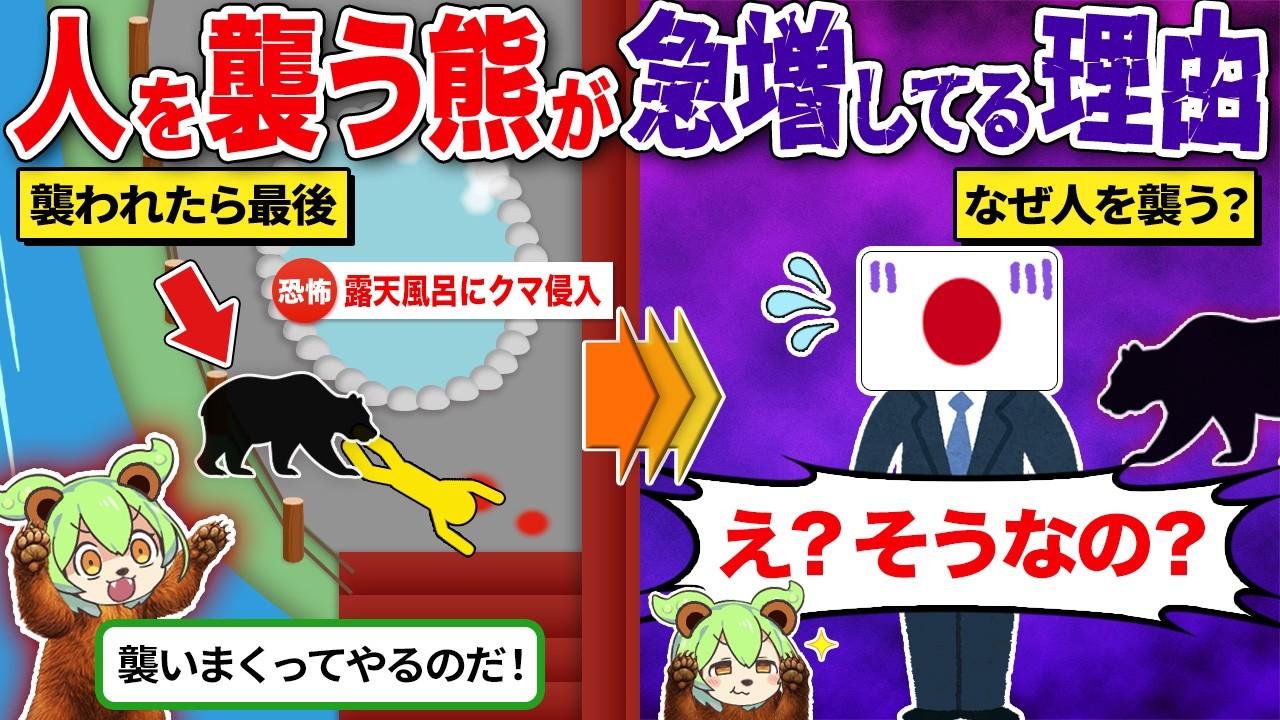 なぜ近年、クマの人身被害の報告が相次いでいるのか？