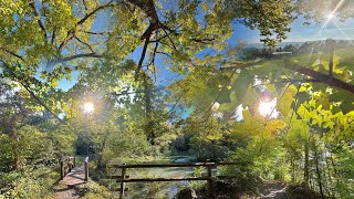 Dr. Arnd Stein - 90 min. Entspannung im Wald - Herbstbeginn