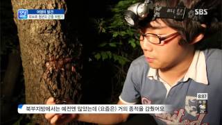 [모닝와이드] 130719 #2(6)