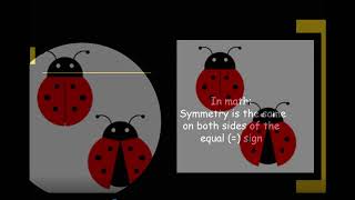 Symmetry Lady Bug Picnic