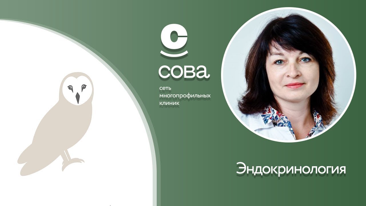 Эндокринология приморская. Клиника Сова. Сеть клиник Сова. Клиника Совенок эндокринолог. Сова клиника гинеколог Саратов.