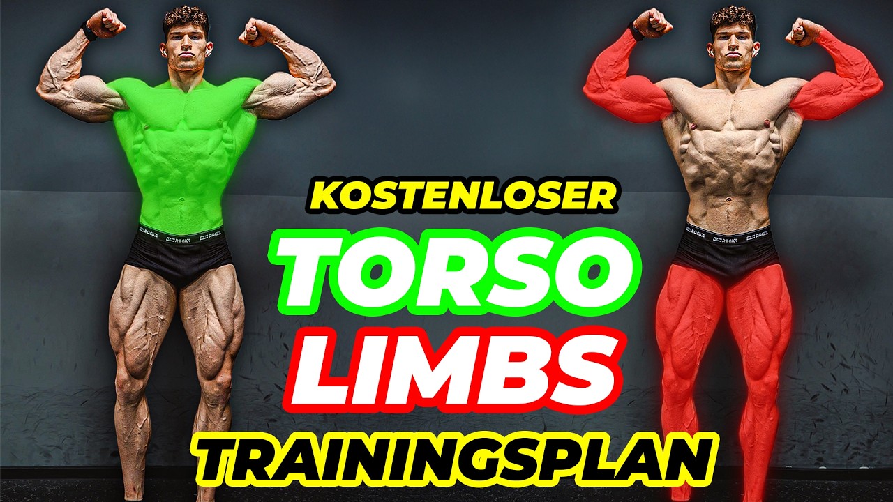 Torso/Limbs Split HYPE oder BULLSHIT? (mit GRATIS PLAN)