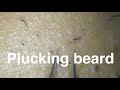 10x Super close plucking beard  #beard #satisfyingvideo #plucking