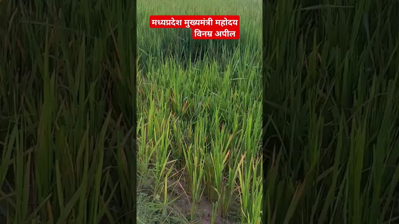 #farming