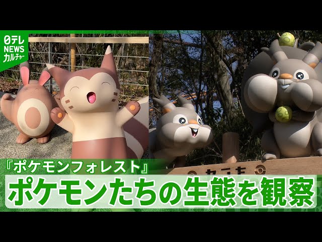 公開】『ポケパーク カントー』 全長約500メートルのポケモンたちが