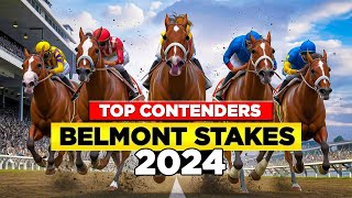 BELMONT STAKES 2024| EARLY CONTENDERS AFTER SEIZE THE GREY WINS PREAKNESS