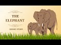 The elephant || short story || English Vidyalaya ||