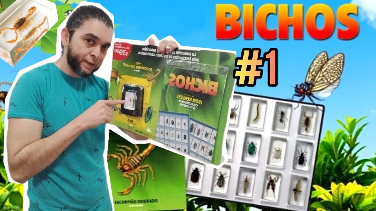 Bichos 🦂 Fascículo 1 RBA / Colección En Resina - YouTube