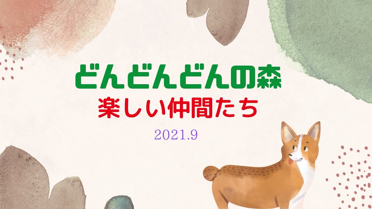 コーギーと森の仲間達