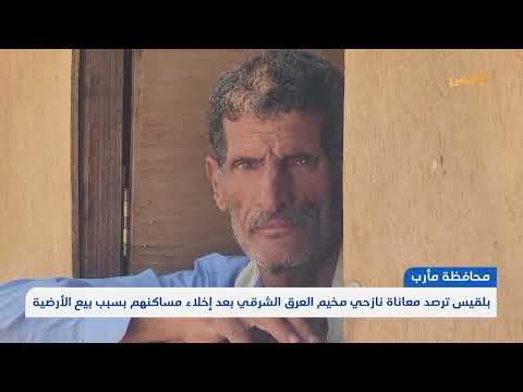 أوضاع النازحين في مأرب: تدهور معيشي وتجاهل رسمي