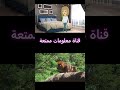 الجزء الاول الحلقة الثانية من قصة بكاء الورد 1