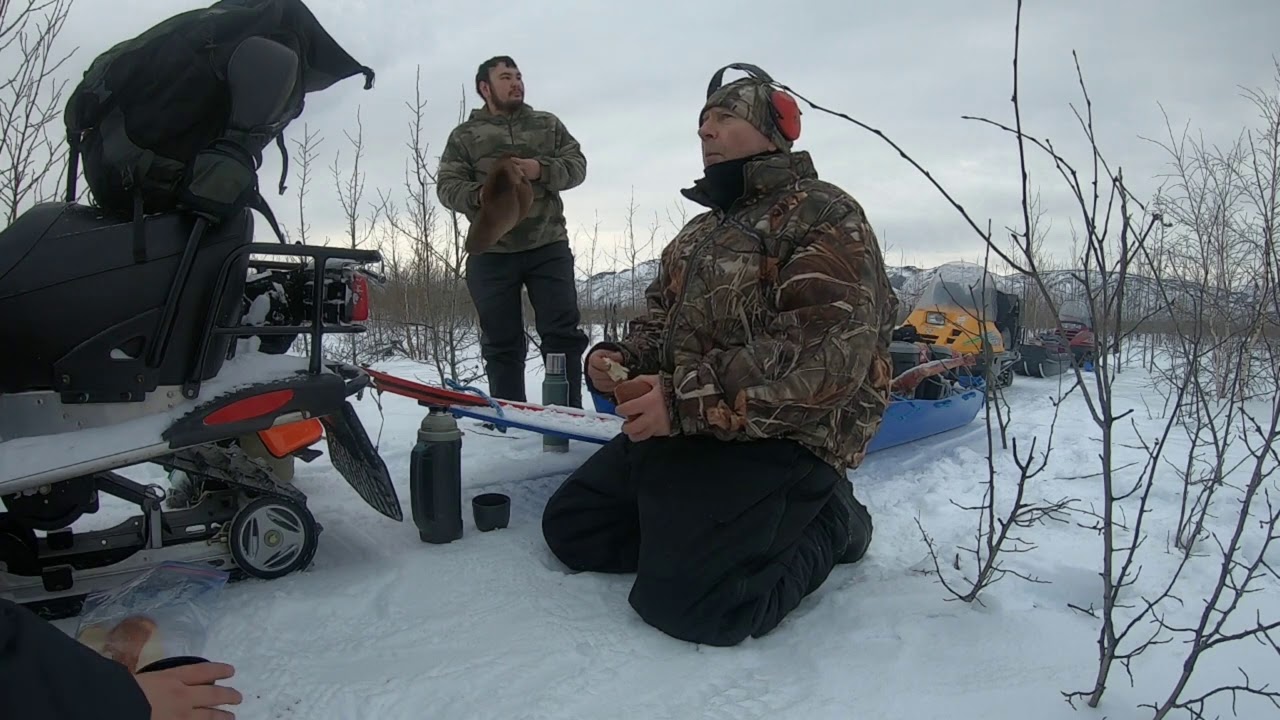 202021 Alaska Wolf Trapping AK 9 3rd Week of January, good check