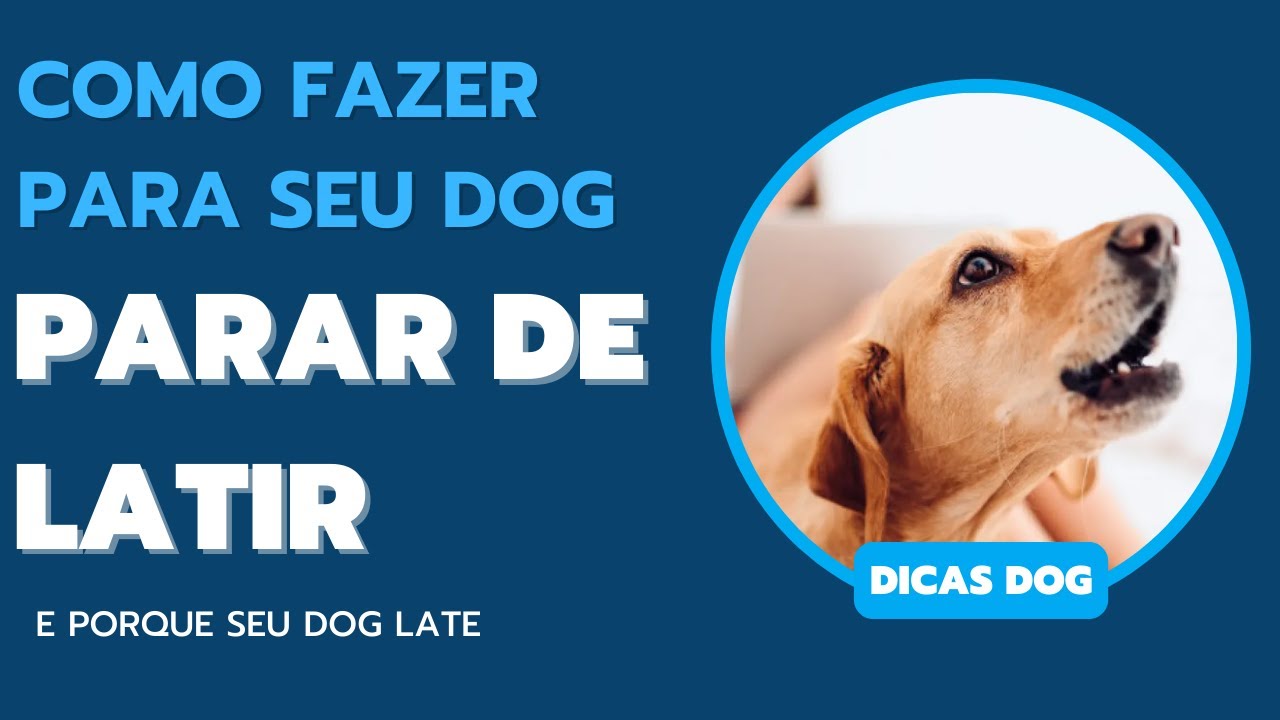 Par Rar Dog Dicas para seu dog parar de latir - YouTube