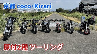 こっぴー Freshly baked pantyhose | Seven mopeds (Monkey, Gorilla, and Dax