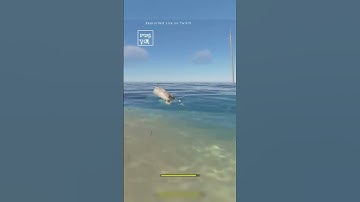 Buckin Boar: Stranded Deep #shorts #strandeddeepgameplay #stranded_deep