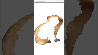 Draw a capybara using Python turtle 🍊#capybara #okipullup #python #turtle #coding