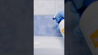 Kako Očistiti Plesen V Kopalnici? Karandelfin.si