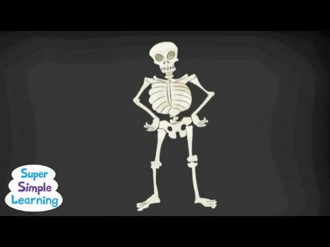 the-skeleton-dance