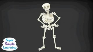 The Skeleton Dance | Classroom Fun | Super Simple Songs screenshot 1