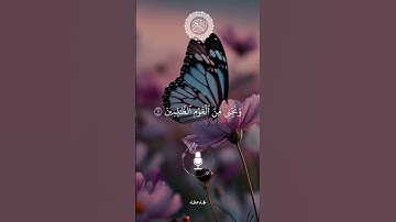 #تلاوات_مطرف_المطرف #سورة_التحريم     #ايات_قرانيه_قصيره #اكسبلور #راحة_نفسية #السعودية #تلاوة_خاشعة